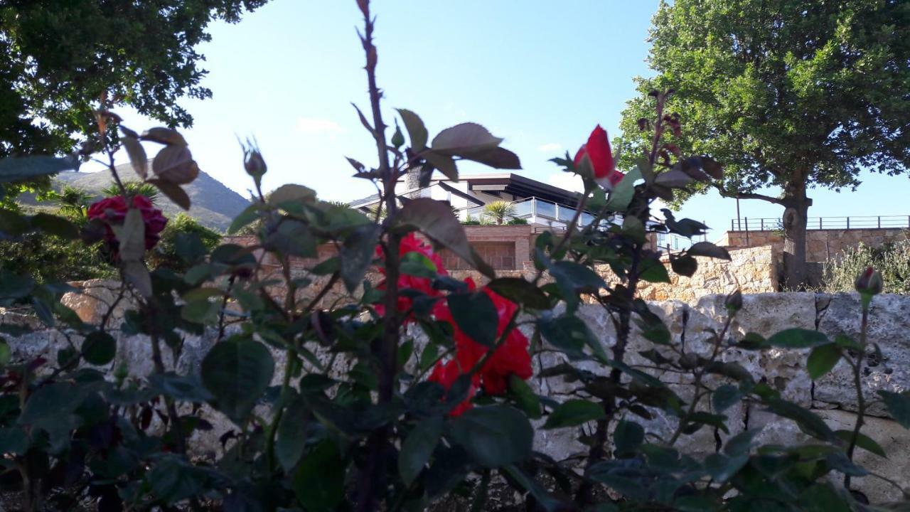 Villa Treglia B&B 福尔米亚 外观 照片